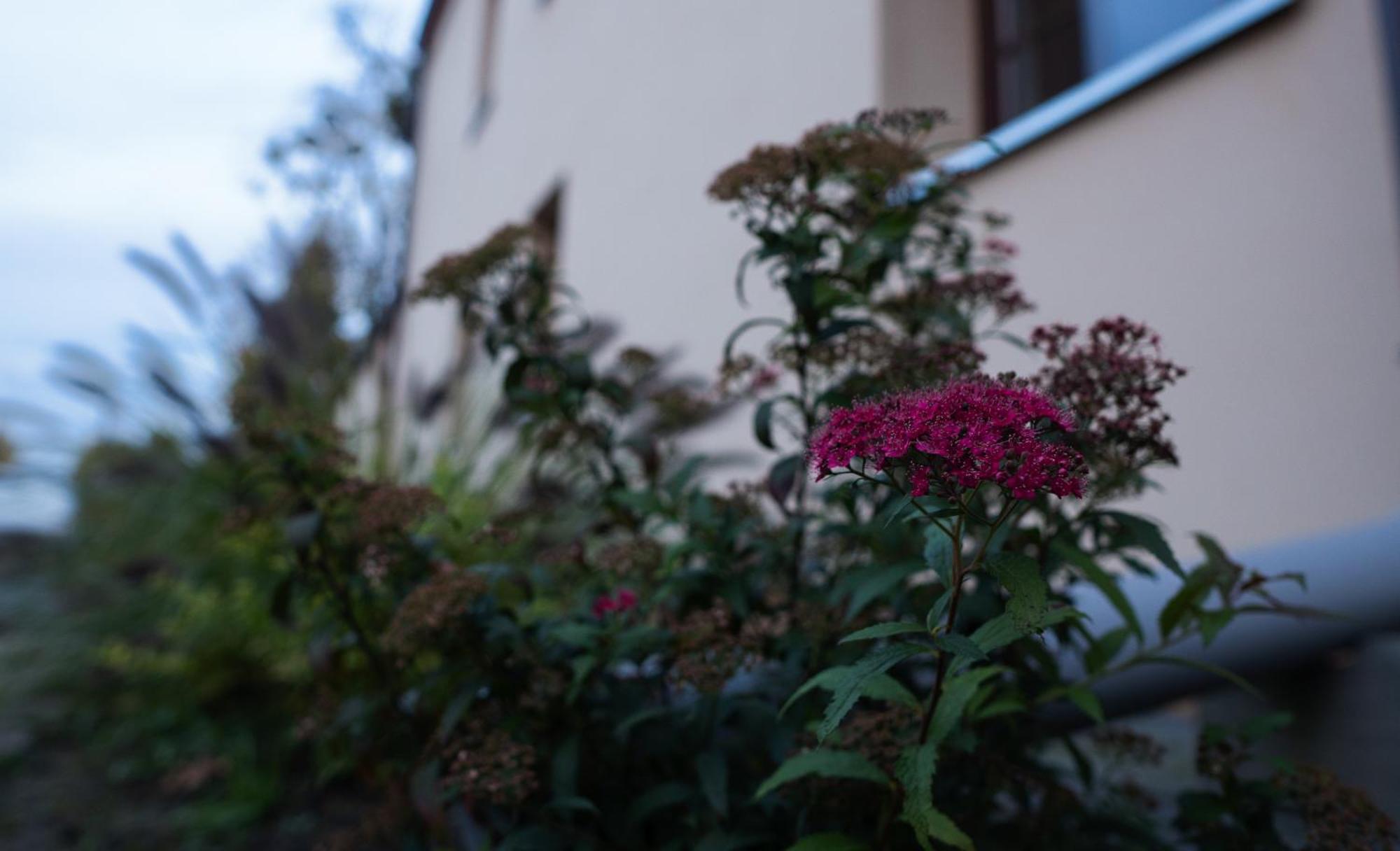 Uroczysko Olesnica Bed & Breakfast Chodzież Dış mekan fotoğraf