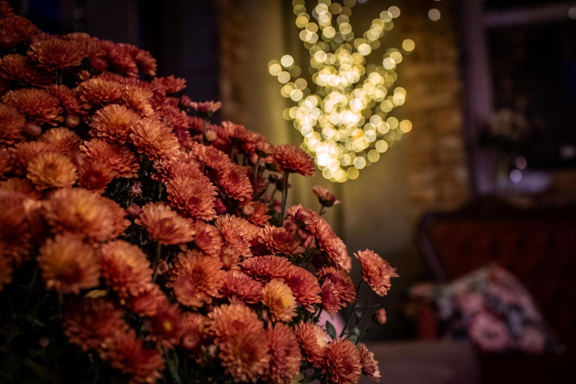 Uroczysko Olesnica Bed & Breakfast Chodzież Dış mekan fotoğraf