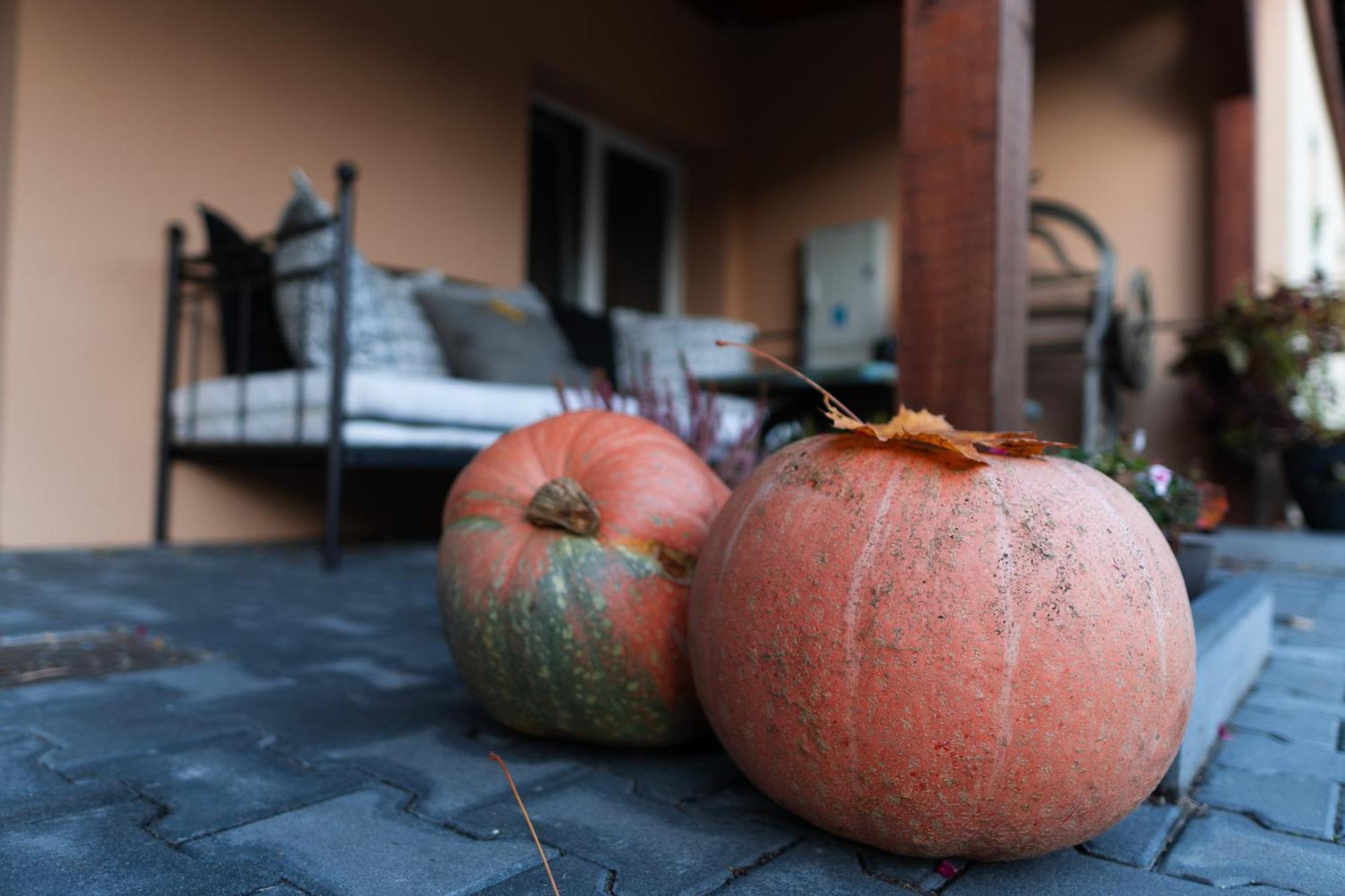 Uroczysko Olesnica Bed & Breakfast Chodzież Dış mekan fotoğraf