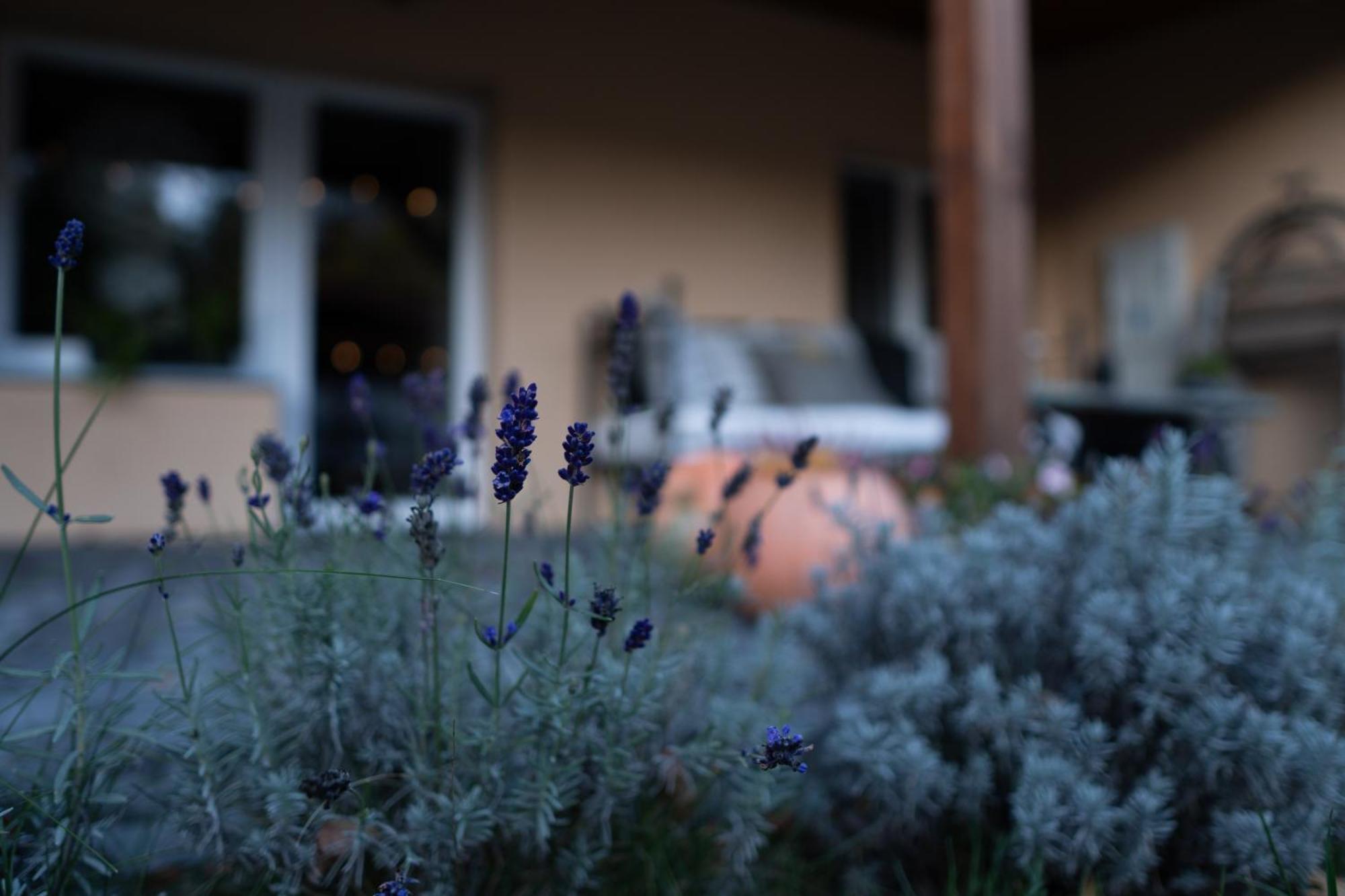 Uroczysko Olesnica Bed & Breakfast Chodzież Dış mekan fotoğraf